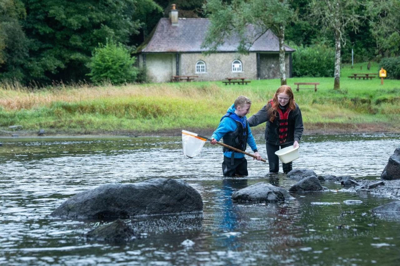 Hawthorn Lodge Belturbet Εξωτερικό φωτογραφία