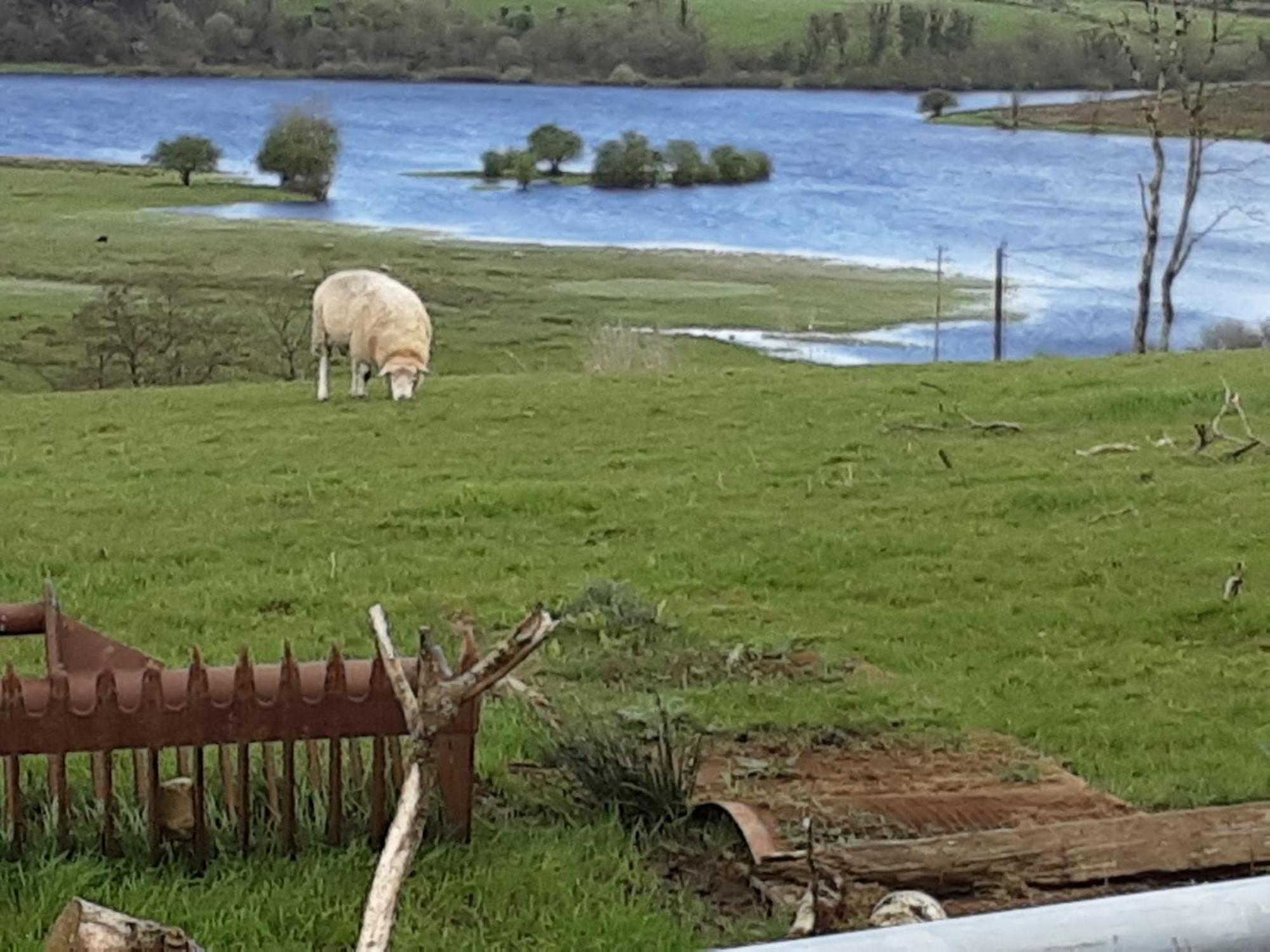 Hawthorn Lodge Belturbet Εξωτερικό φωτογραφία